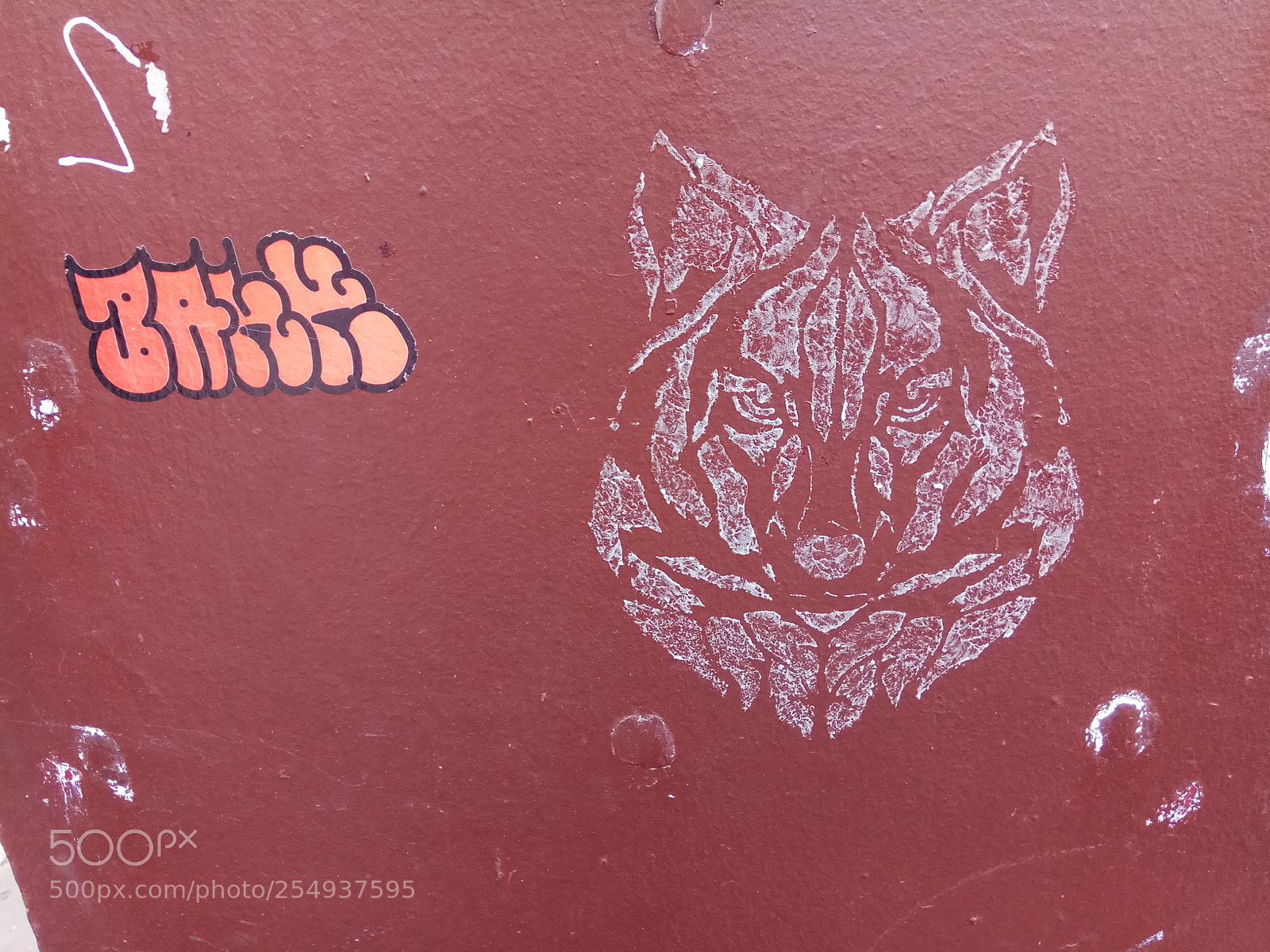 Xiaomi Redmi Note 4X sample photo. Un loup à montmartre photography