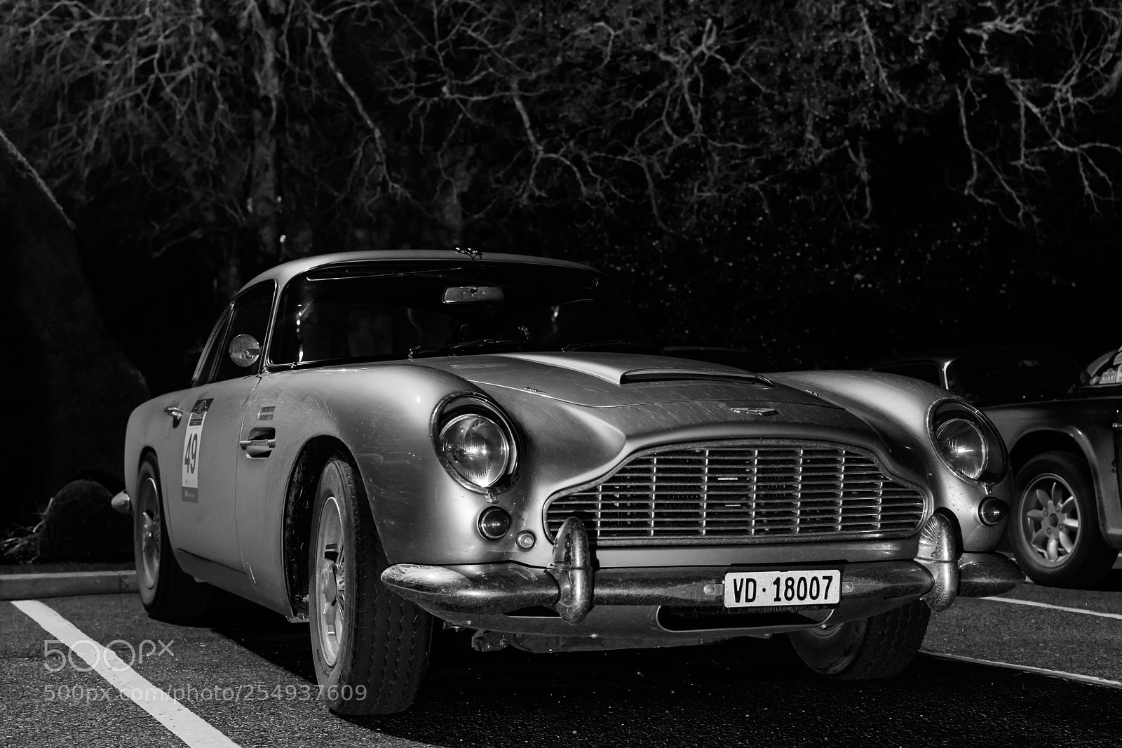 Nikon D7200 sample photo. Aston! photography