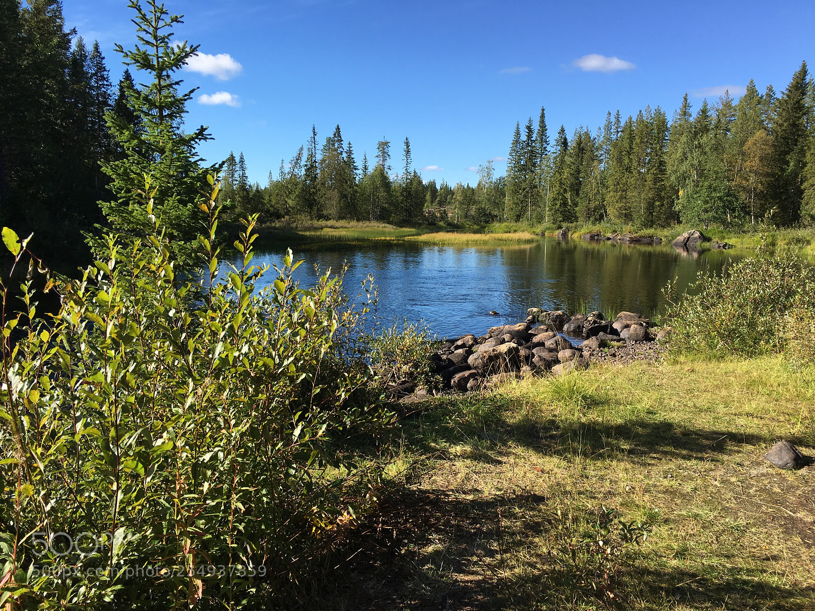 Apple iPhone 6s sample photo. Small pond in the photography