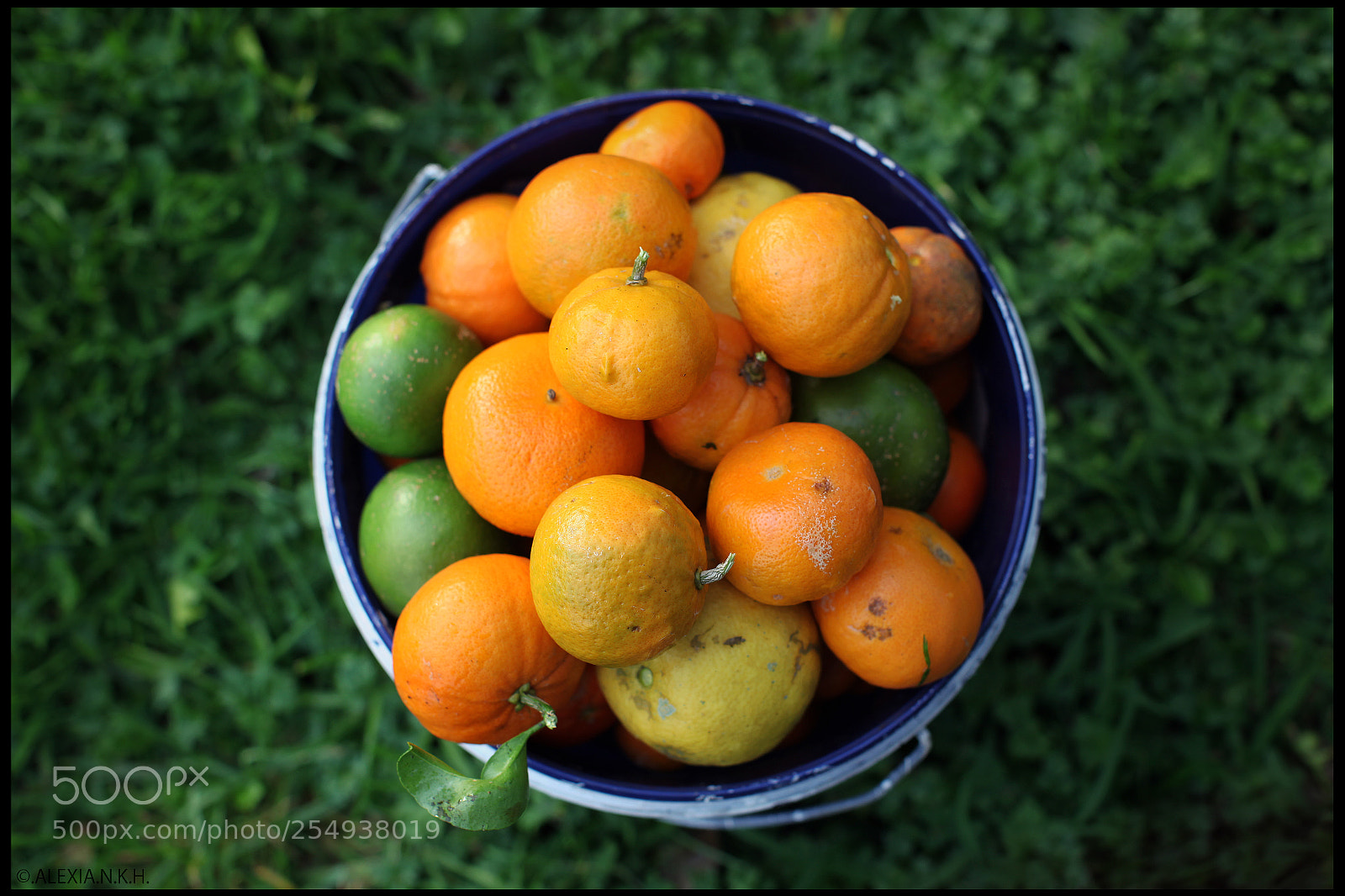 Canon EOS 5D Mark II sample photo. Morning picking photography