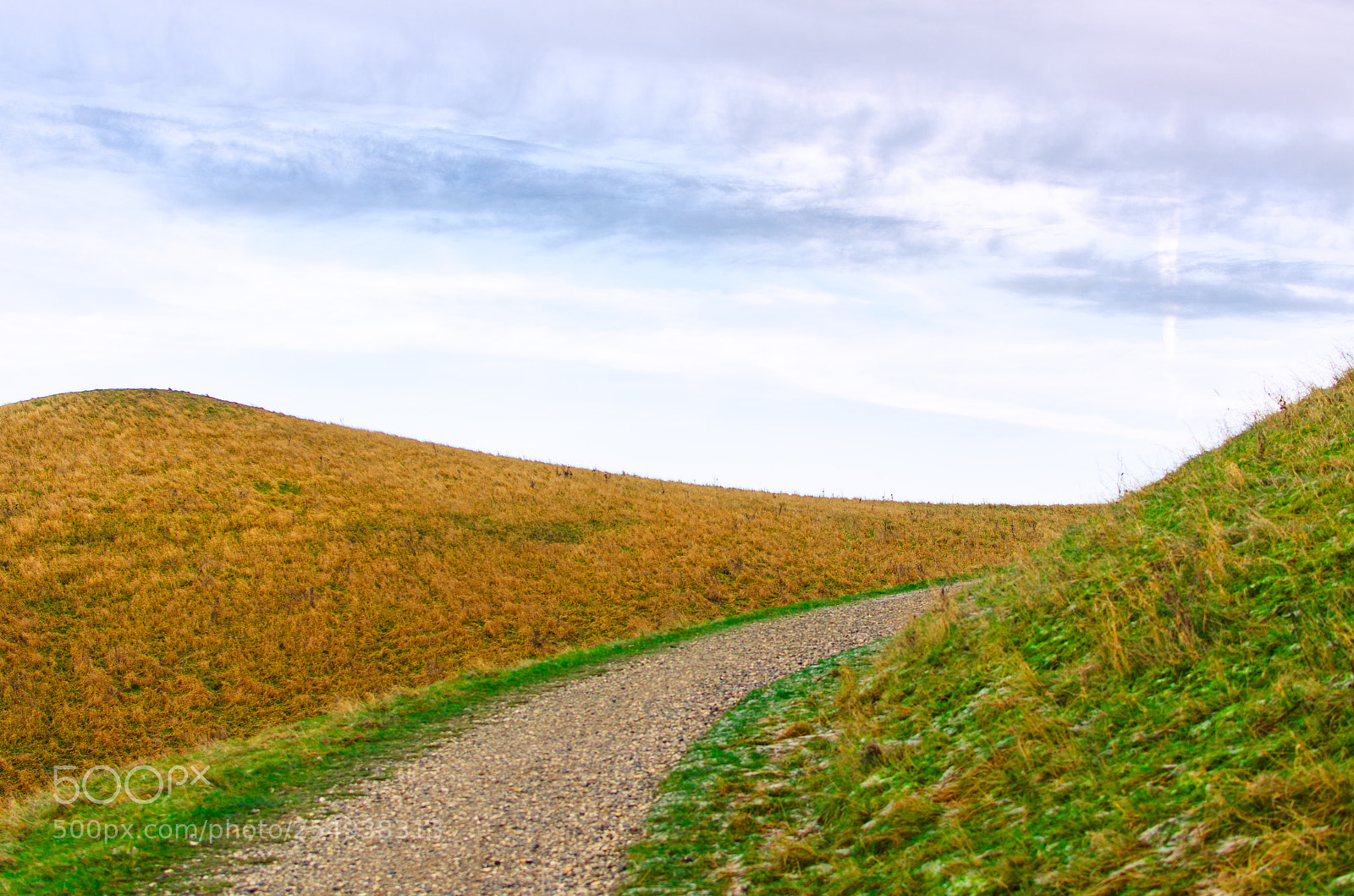 Nikon D7000 sample photo. Albertslund hillside photography