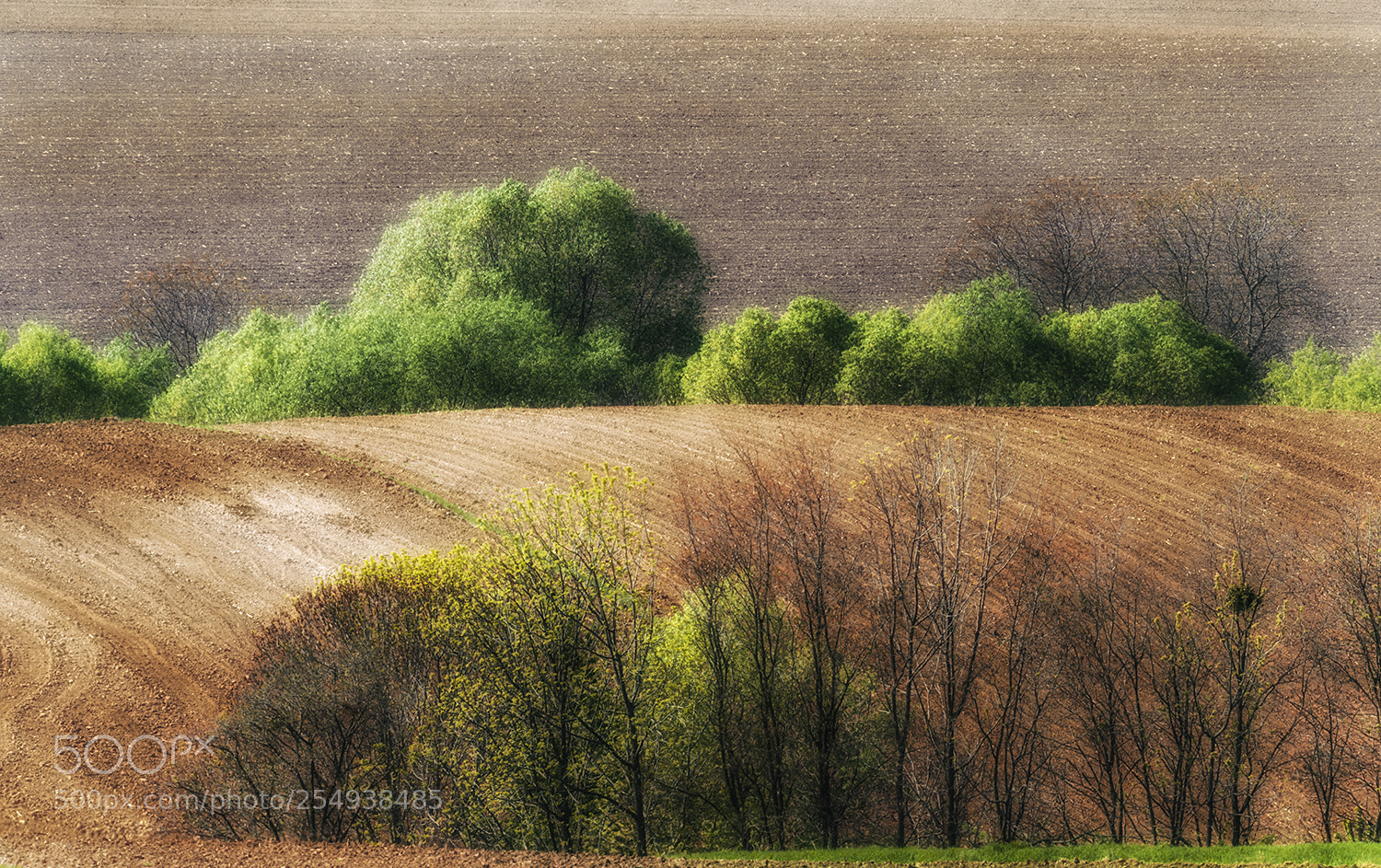 Nikon D700 sample photo. Field photography