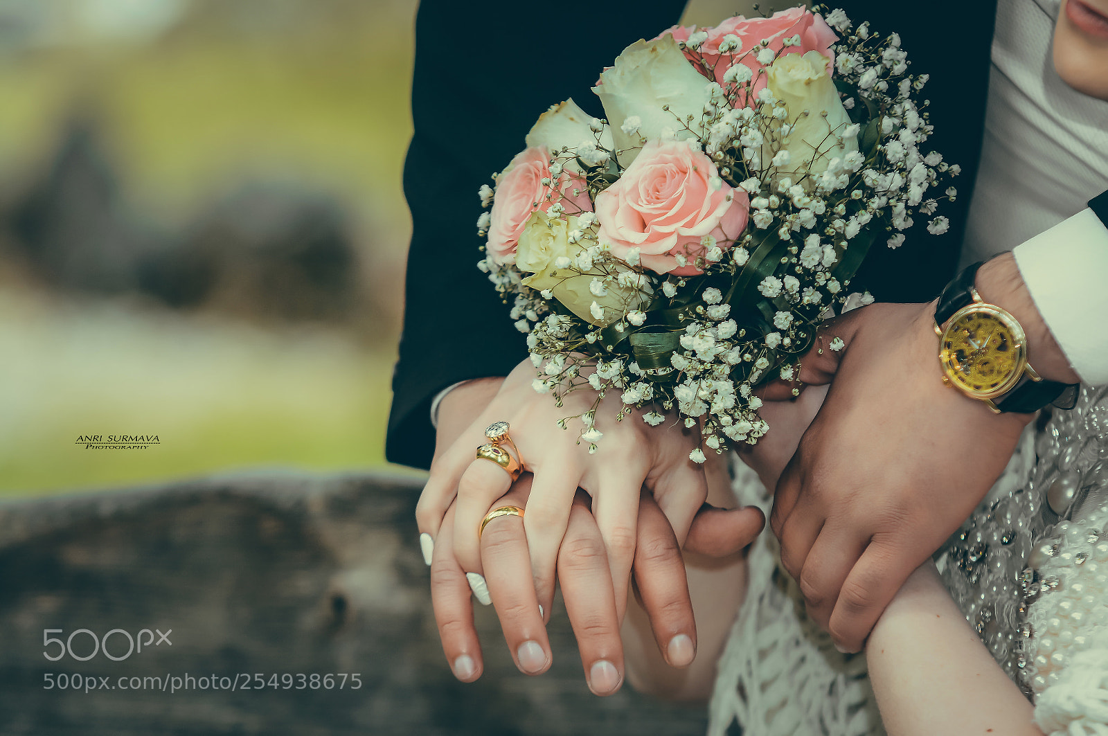 Nikon D7100 sample photo. Untitled photography