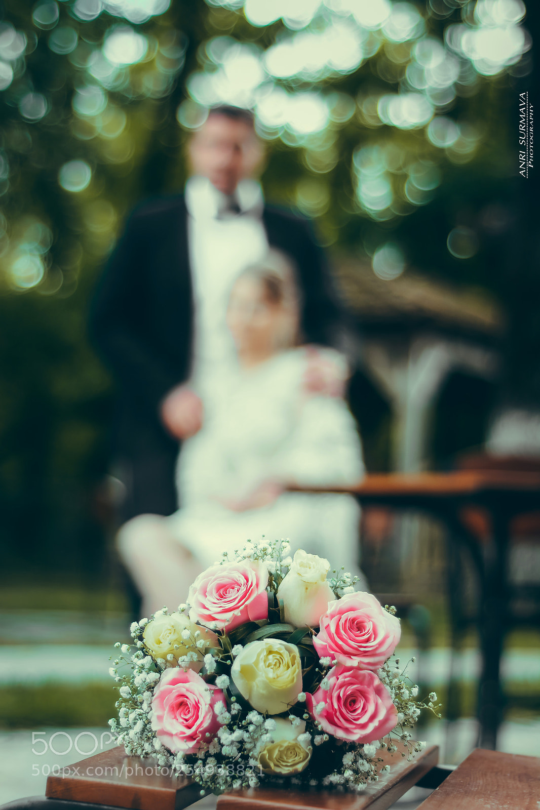 Nikon D7100 sample photo. Untitled photography