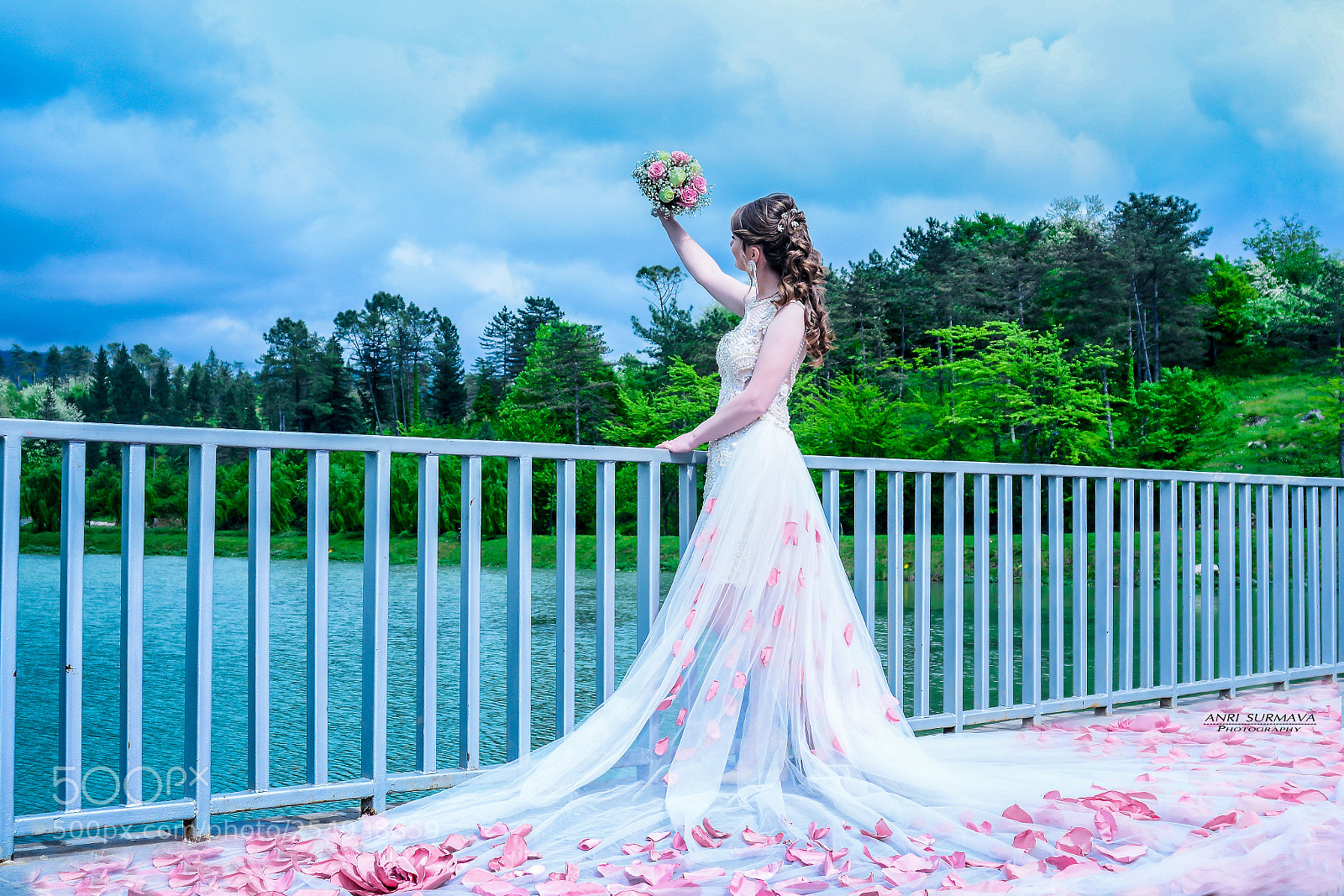 Nikon D7100 sample photo. Untitled photography