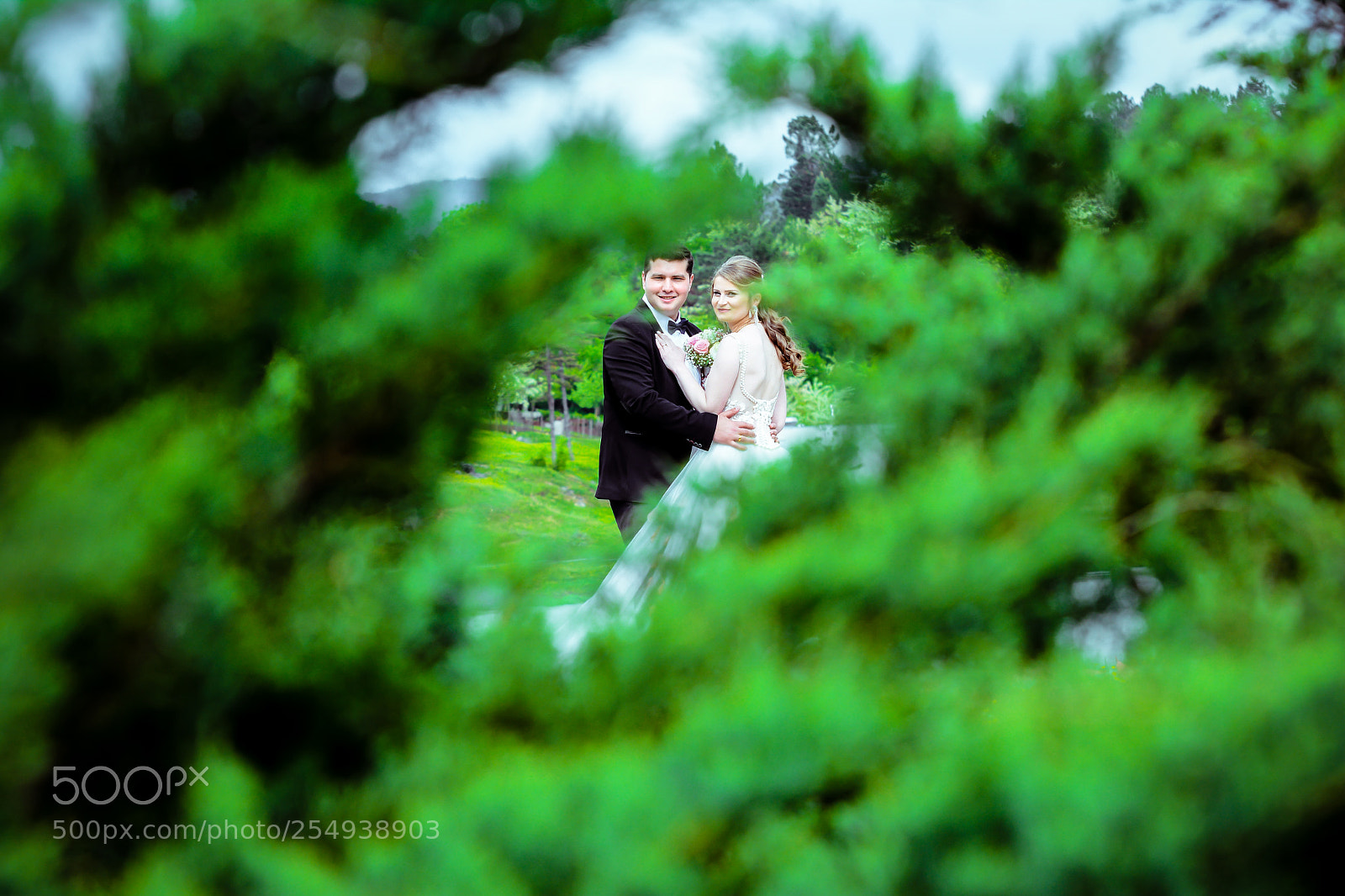 Nikon D7100 sample photo. Untitled photography