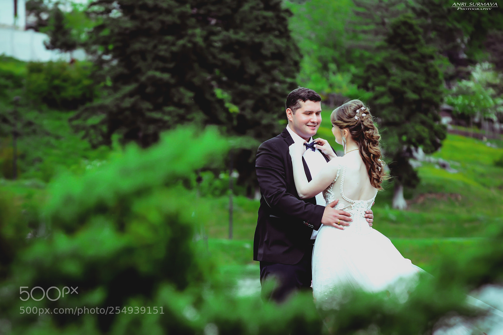Nikon D7100 sample photo. Untitled photography