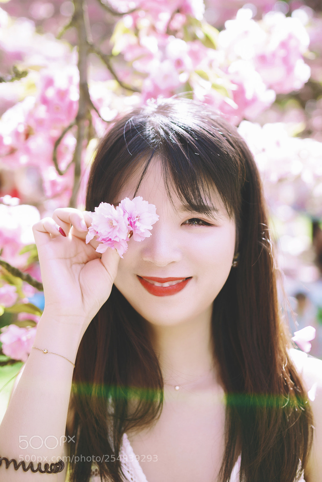Canon EOS 70D sample photo. Sakura 1 photography
