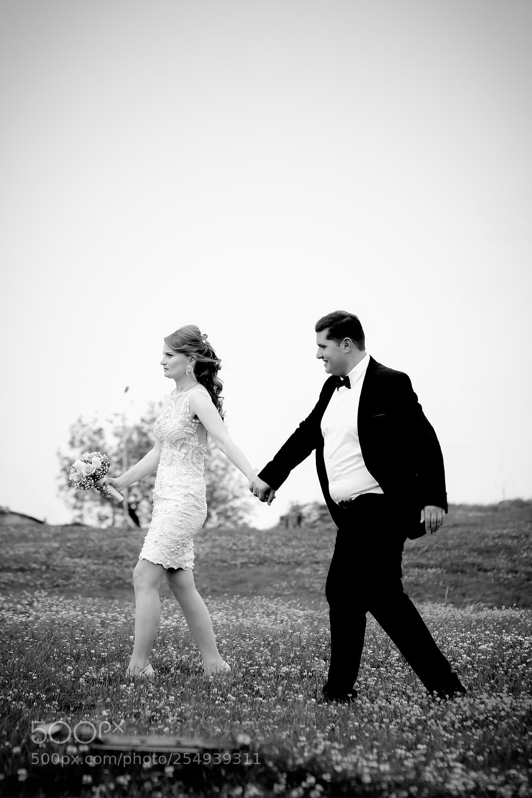 Nikon D7100 sample photo. Untitled photography