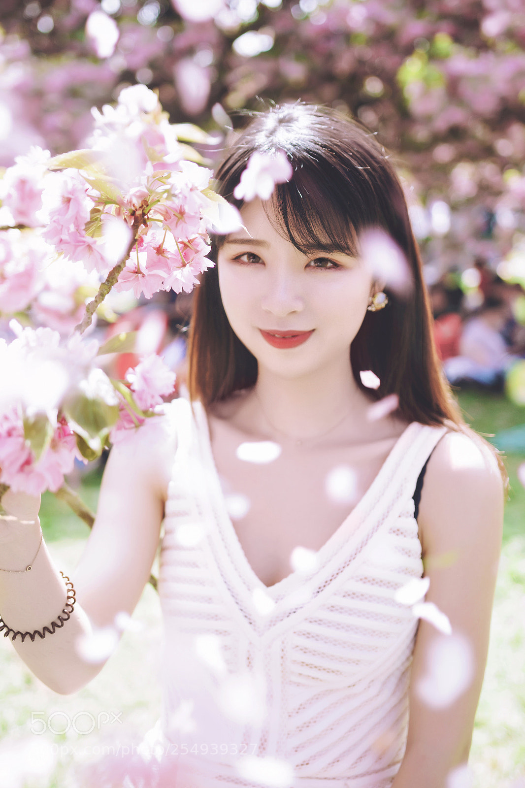 Canon EOS 70D sample photo. Sakura 2 photography