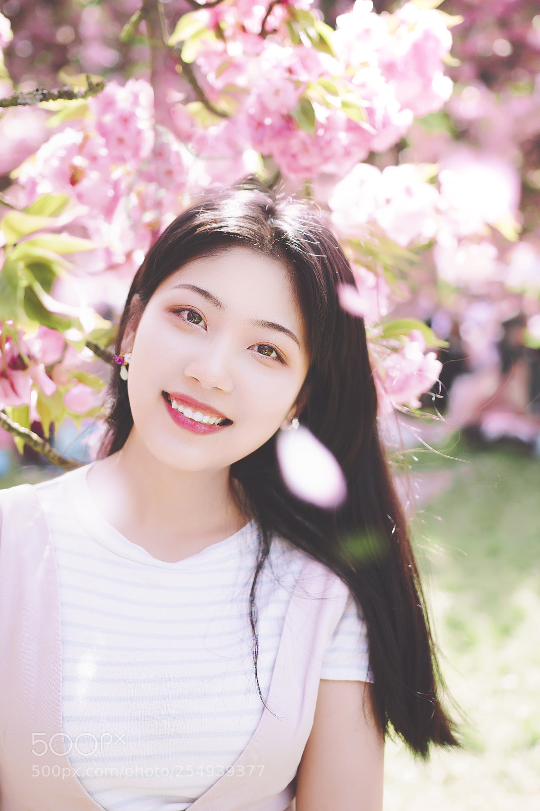 Canon EOS 70D sample photo. Sakura 3 photography