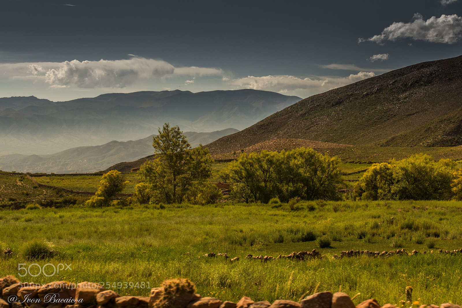 Nikon D7100 sample photo. Regresando de hornocal. photography