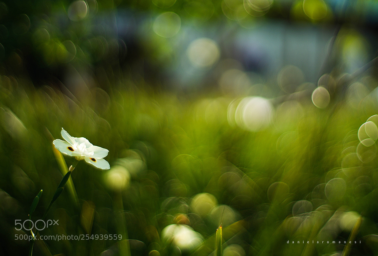 Sony a7R II sample photo. Breathe photography