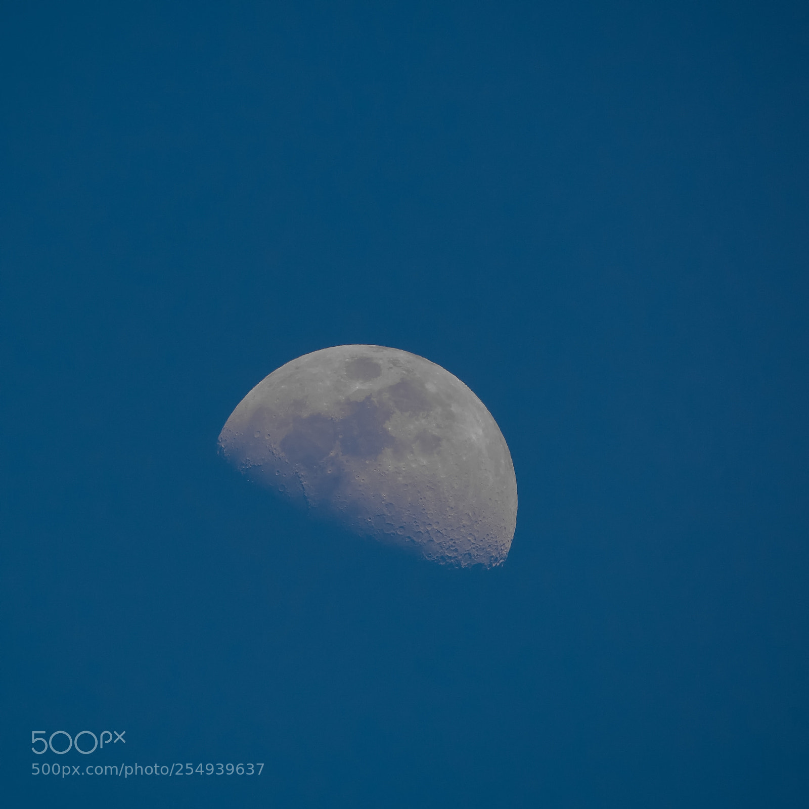 Nikon D7100 sample photo. Moon rise photography