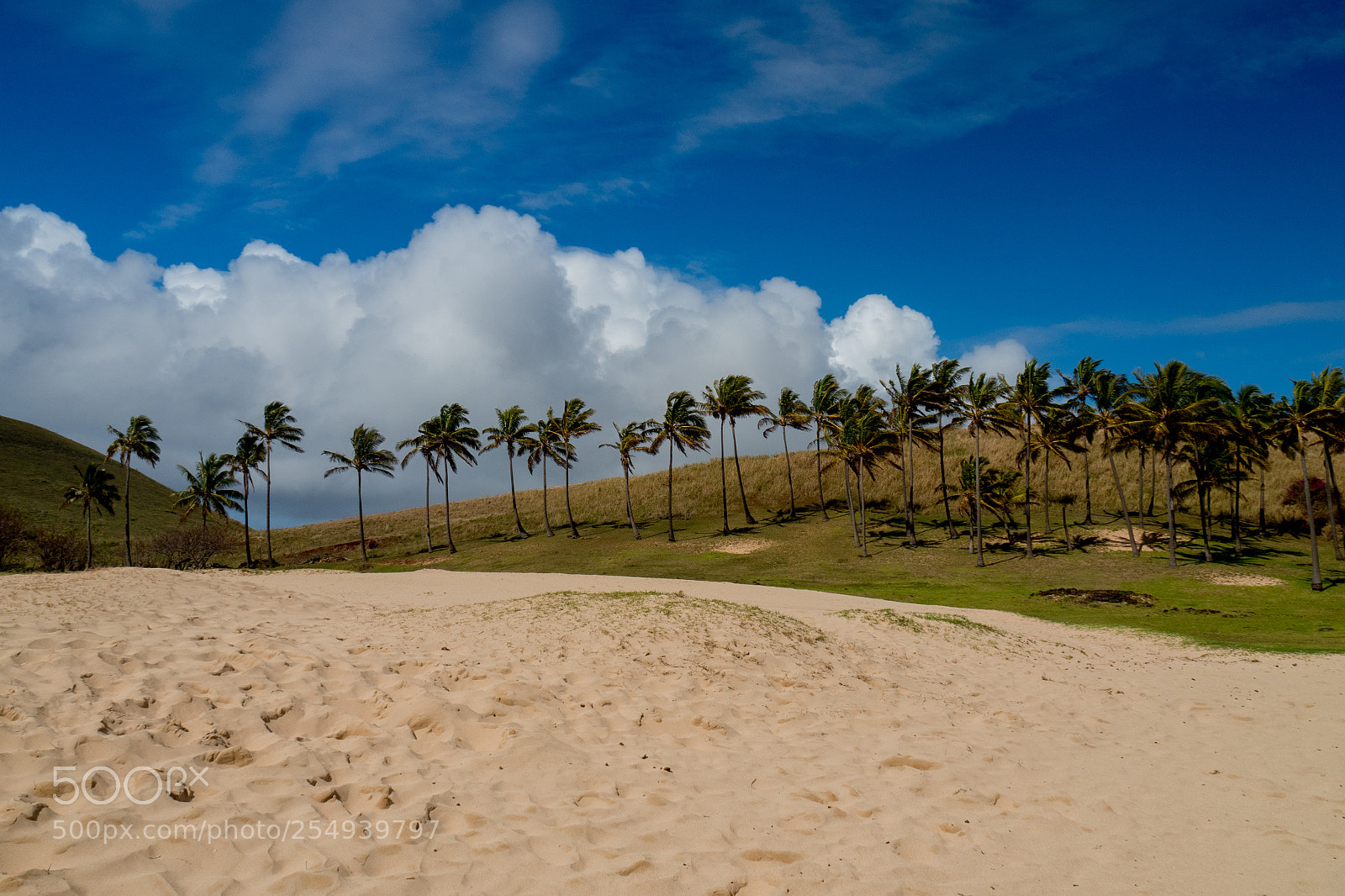 Olympus OM-D E-M5 II sample photo. Anakena beach, easter island photography
