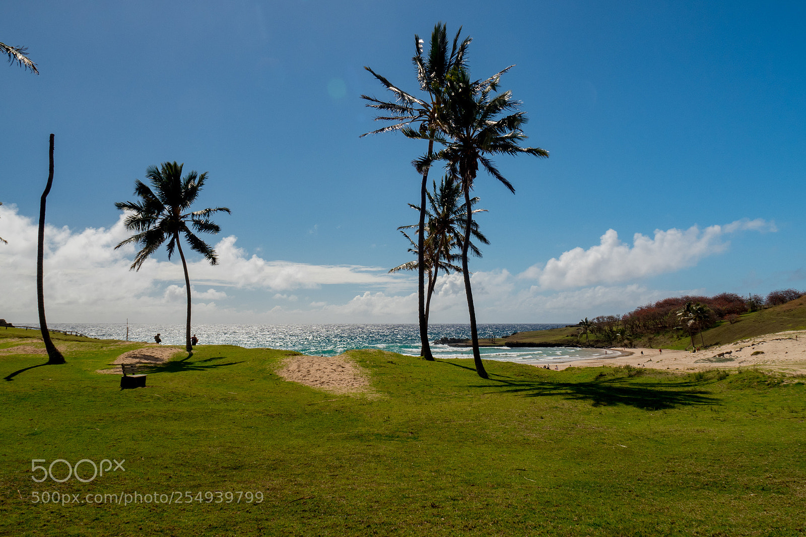 Olympus OM-D E-M5 II sample photo. Anakena beach, easter island photography