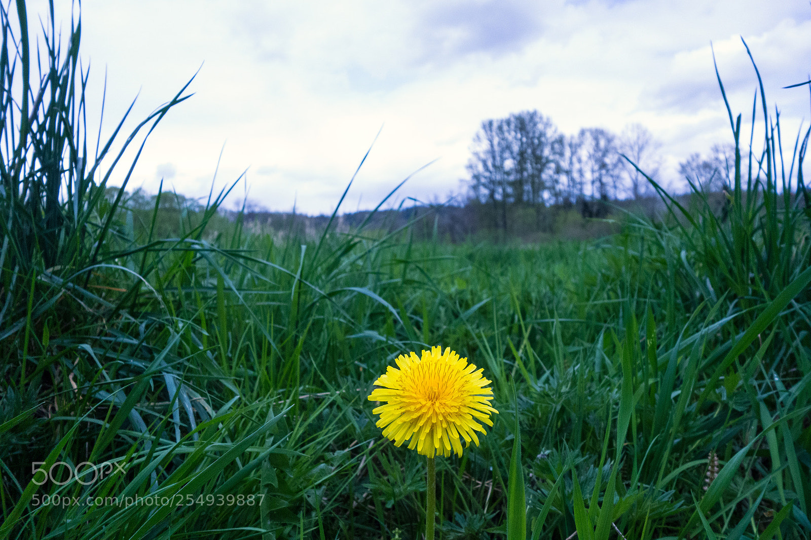 Sony Cyber-shot DSC-RX100 sample photo. Edit photography
