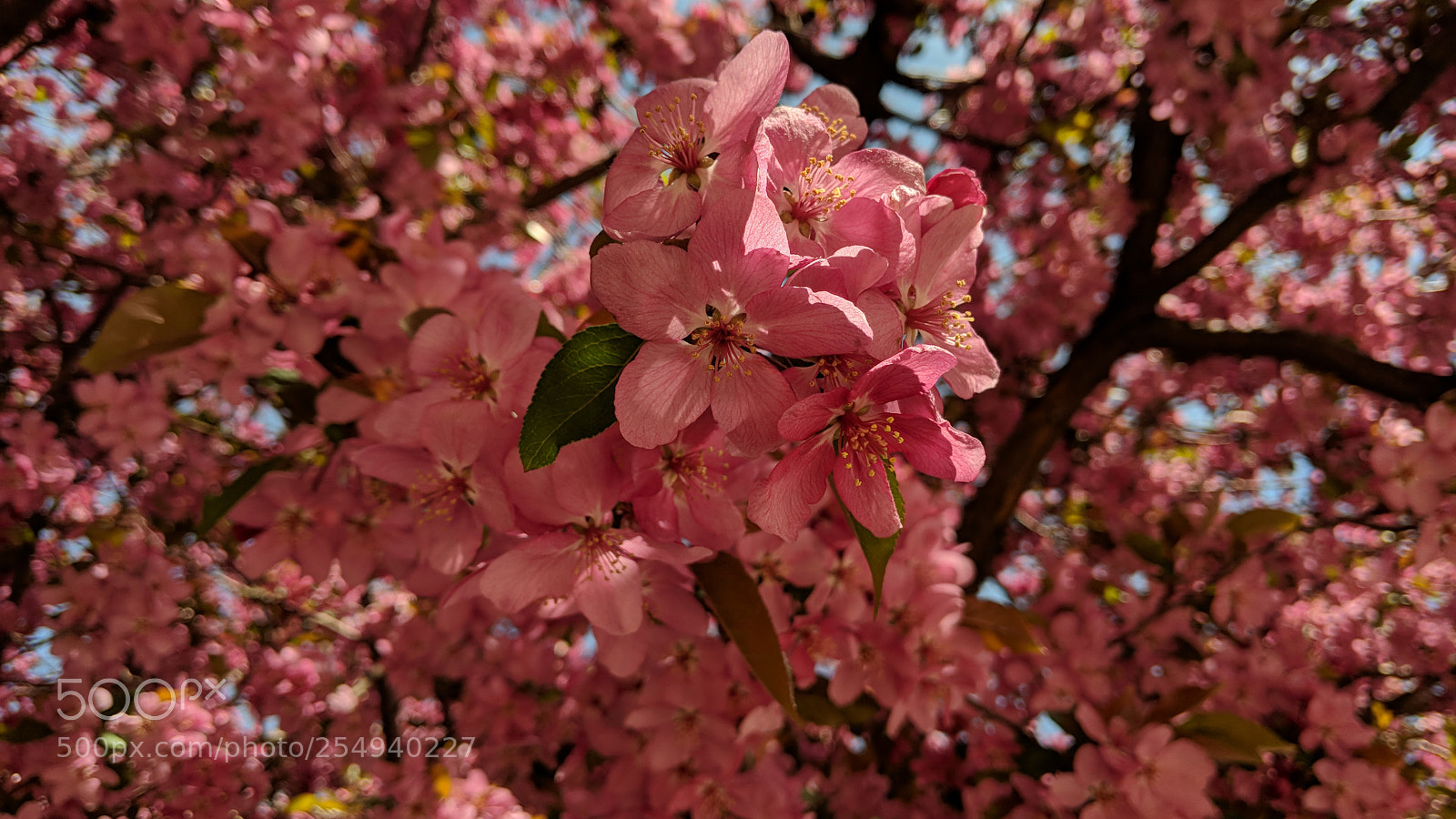 Google Pixel 2 sample photo. Untitled photography