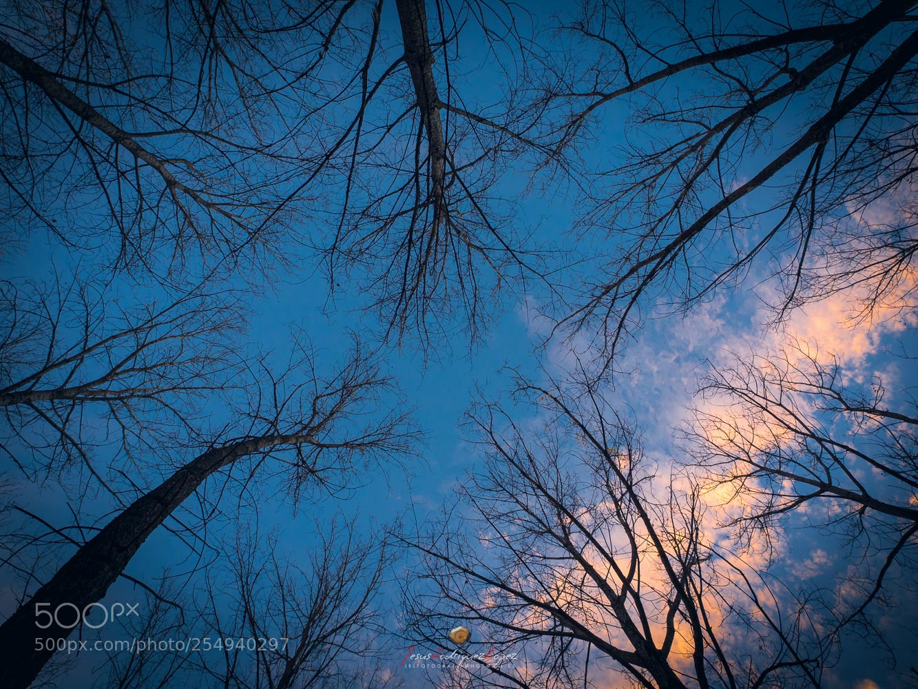 Olympus OM-D E-M1 sample photo. Grietas photography