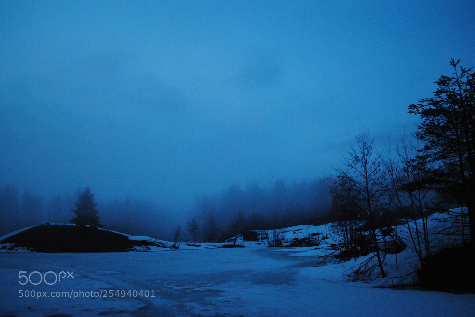Nikon D3000 sample photo. Spooky silence photography