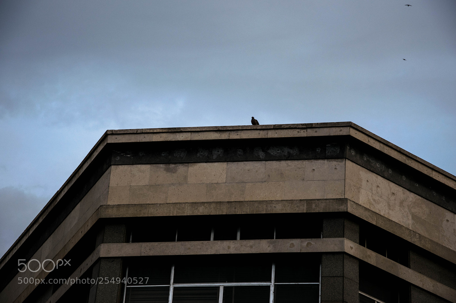 Nikon D3300 sample photo. Rain day photography