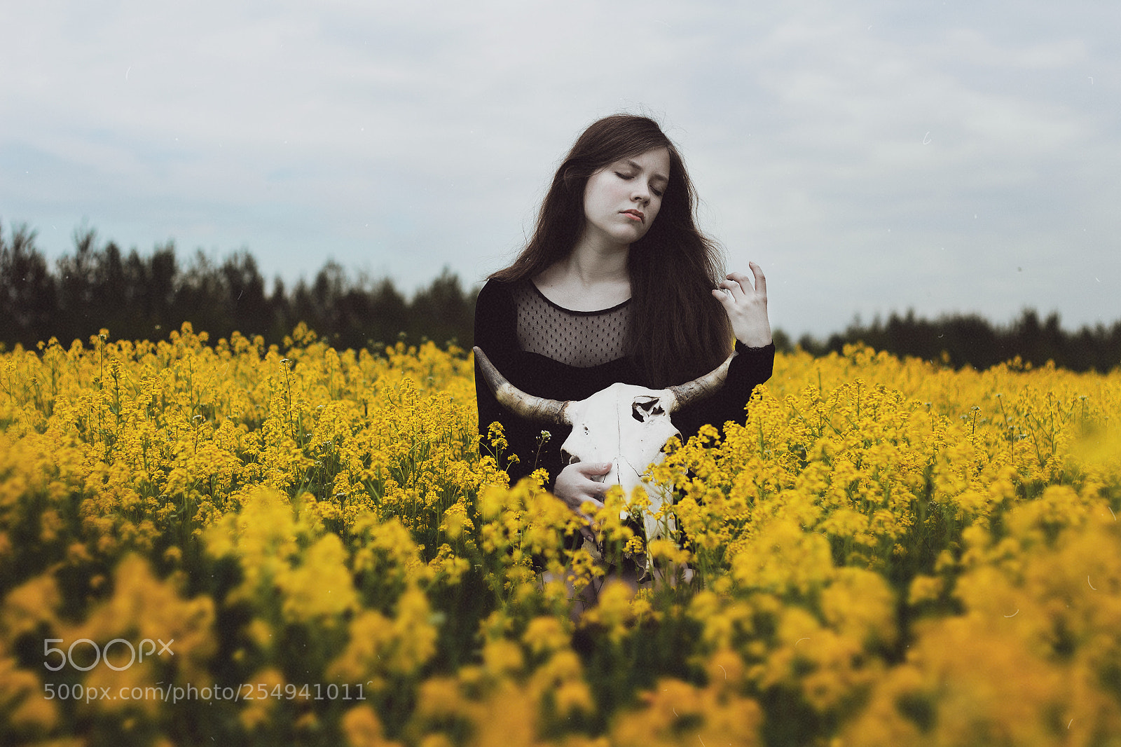 Canon EOS 650D (EOS Rebel T4i / EOS Kiss X6i) sample photo. The yellow field of photography