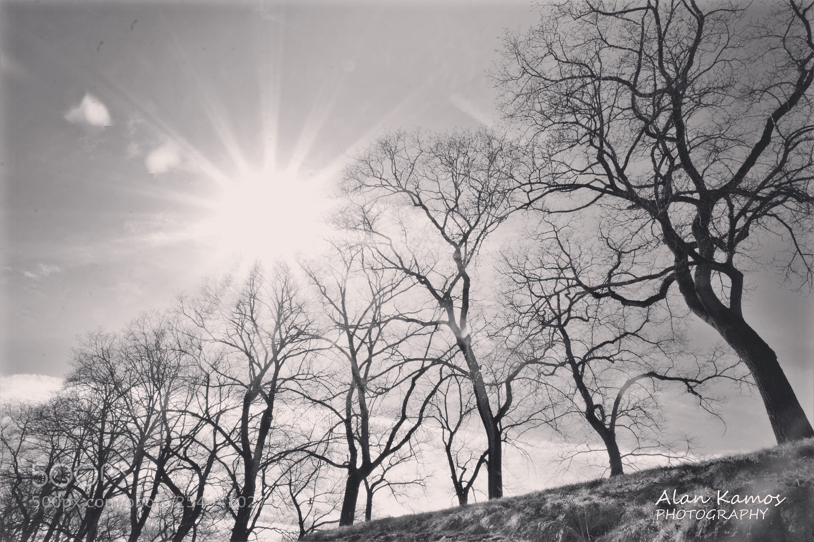 Nikon D5200 sample photo. Untitled photography