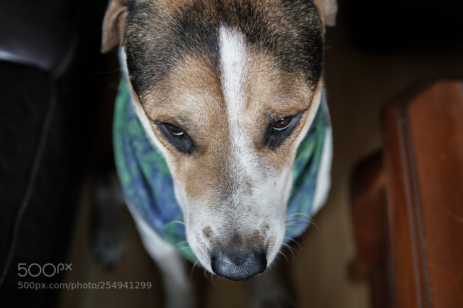 Sony a6500 sample photo. Dsc photography
