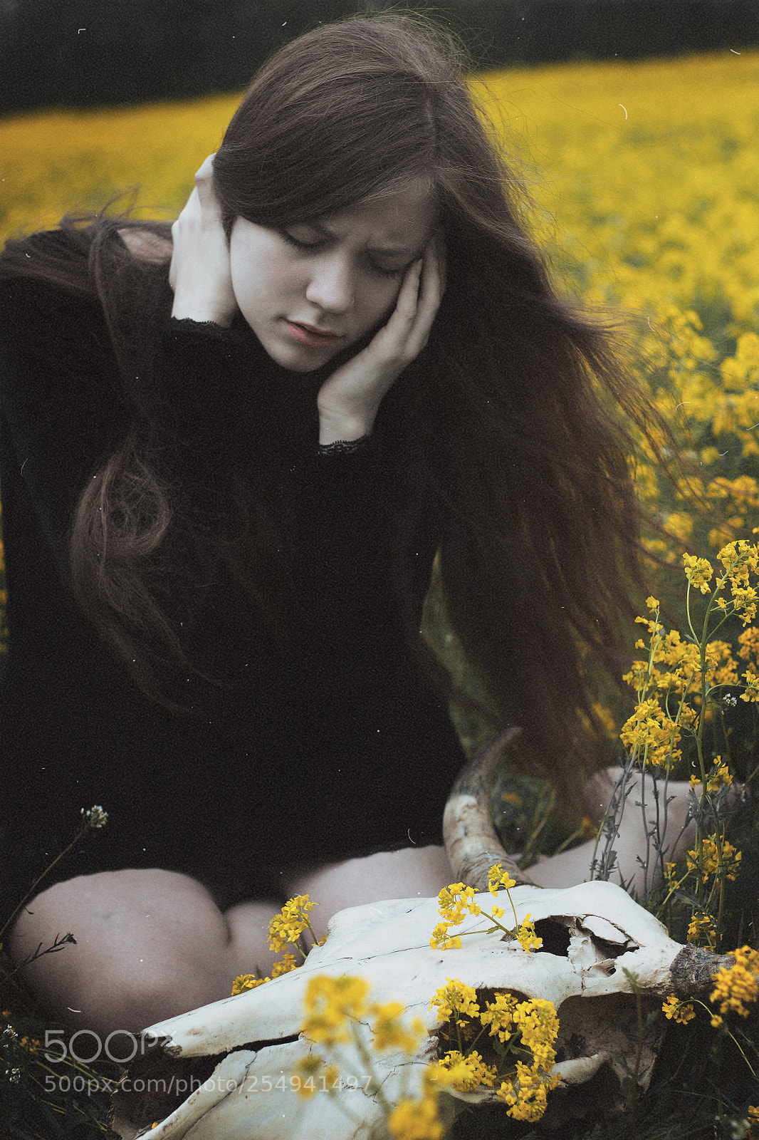 Canon EOS 650D (EOS Rebel T4i / EOS Kiss X6i) sample photo. The yellow field of photography