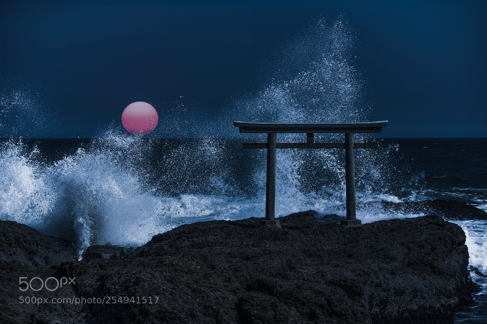 Nikon D850 sample photo. Torii gate and waves photography
