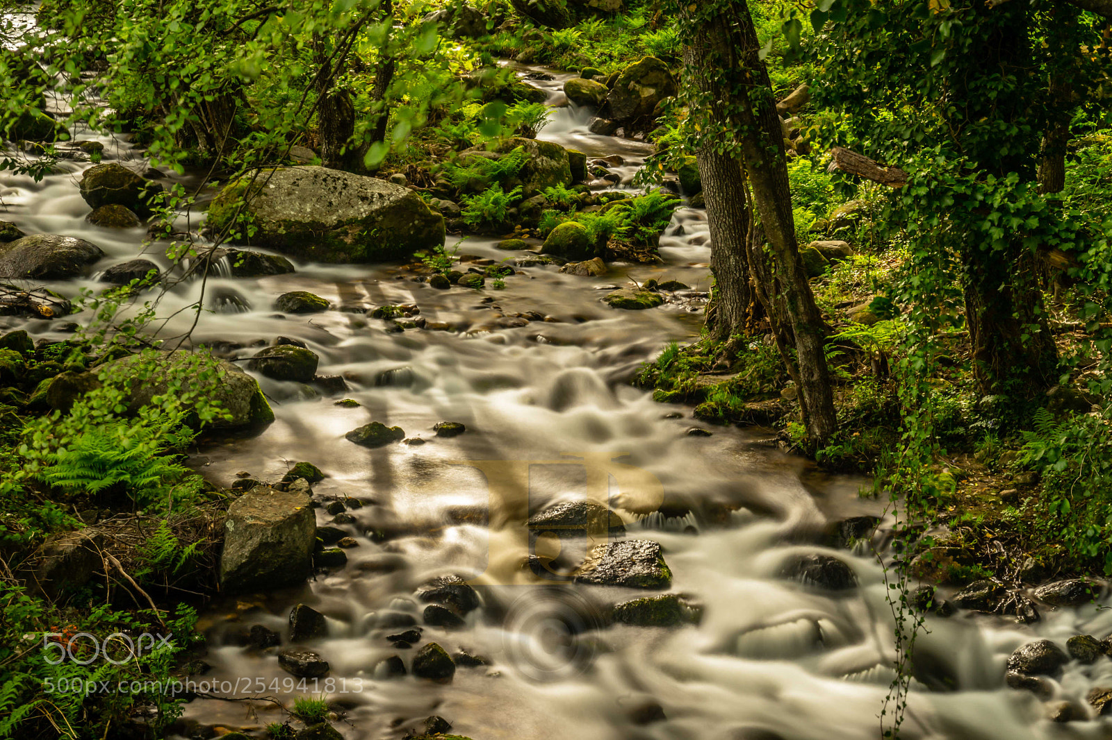 Sony a7 II sample photo. Seda photography