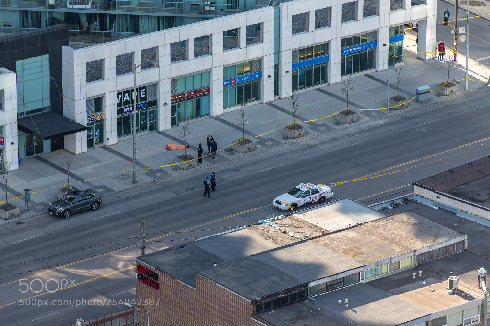 Nikon D850 sample photo. Untitled photography