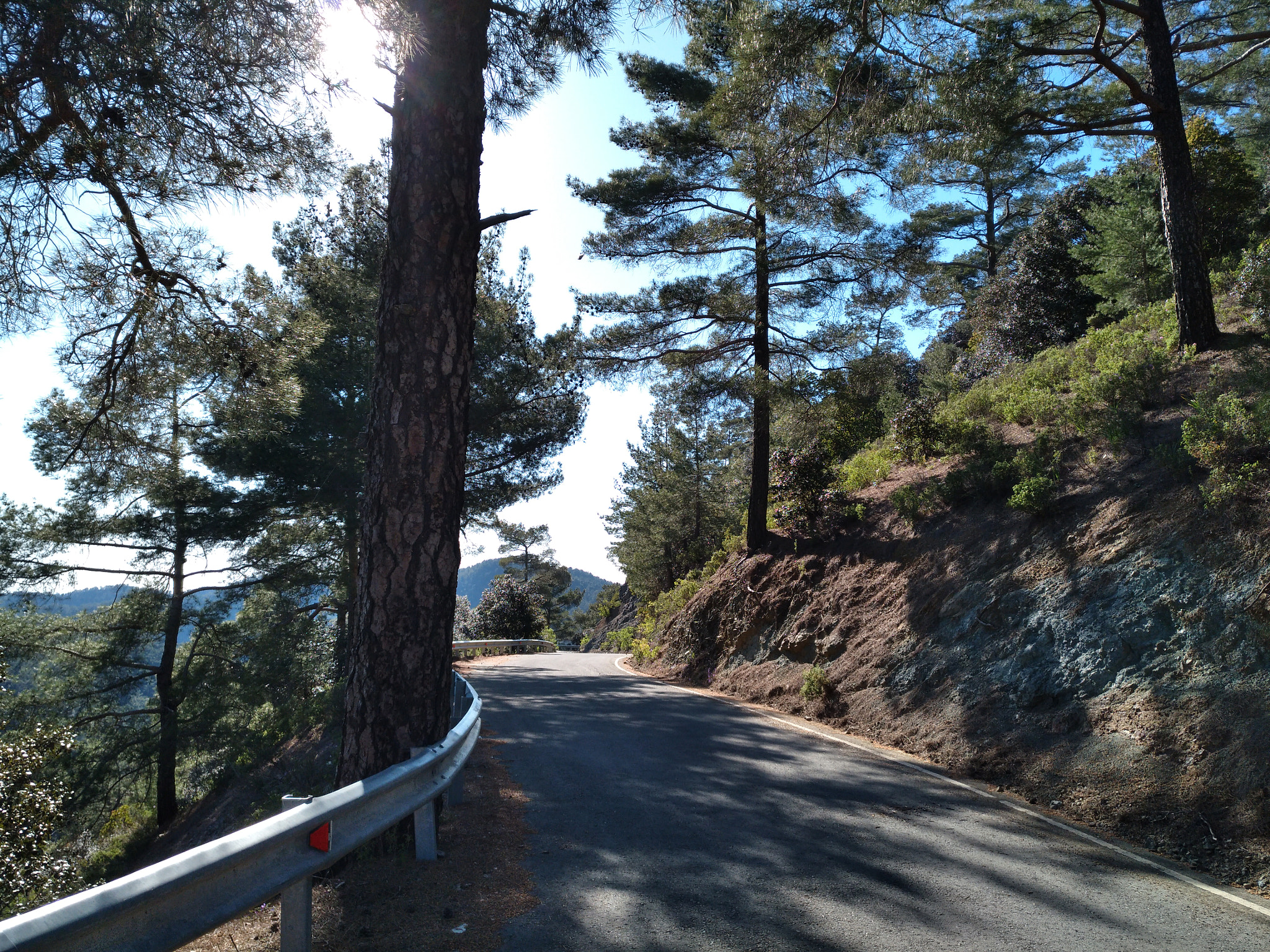 nubia Z11 MINI sample photo