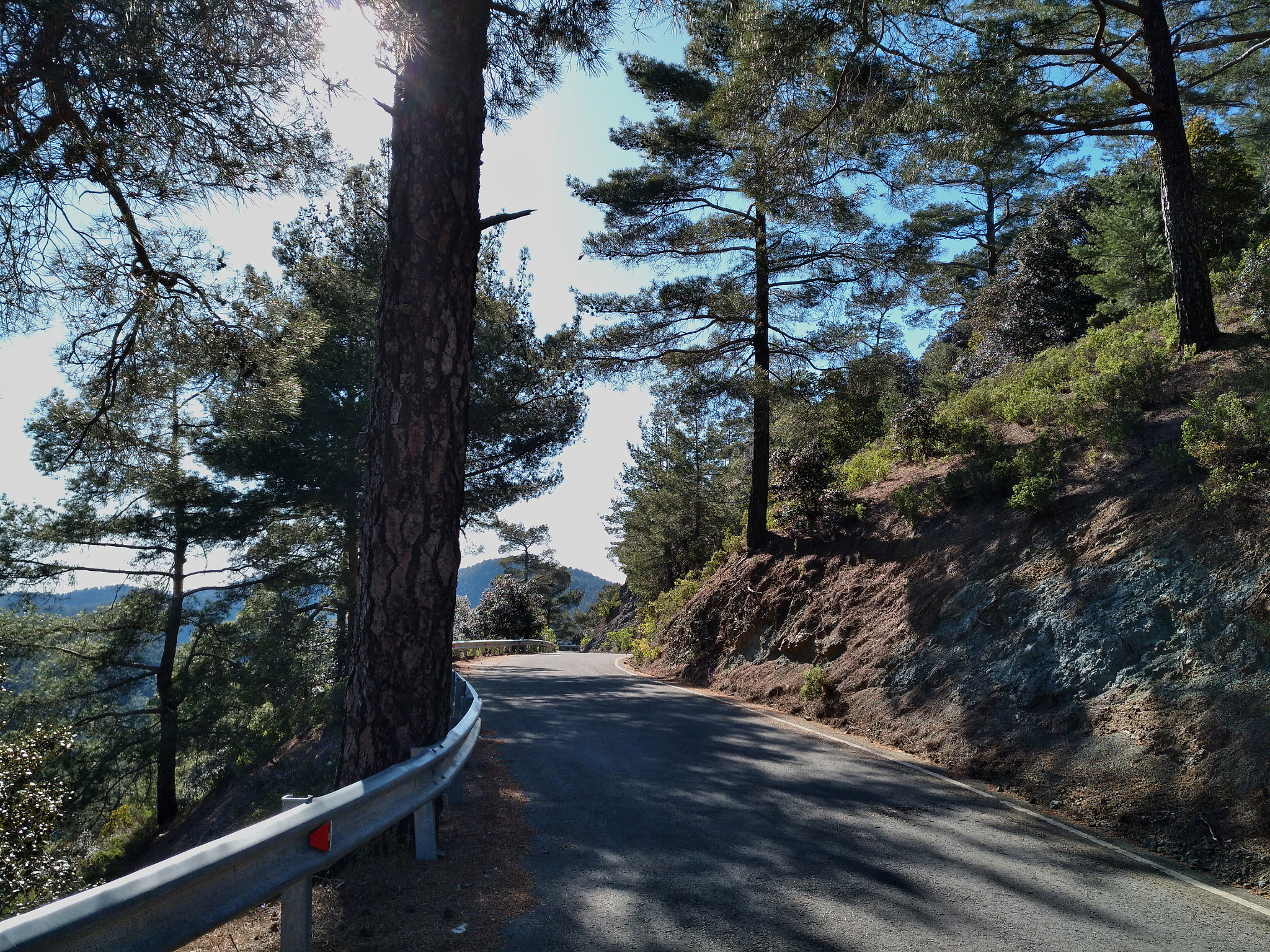nubia Z11 MINI sample photo