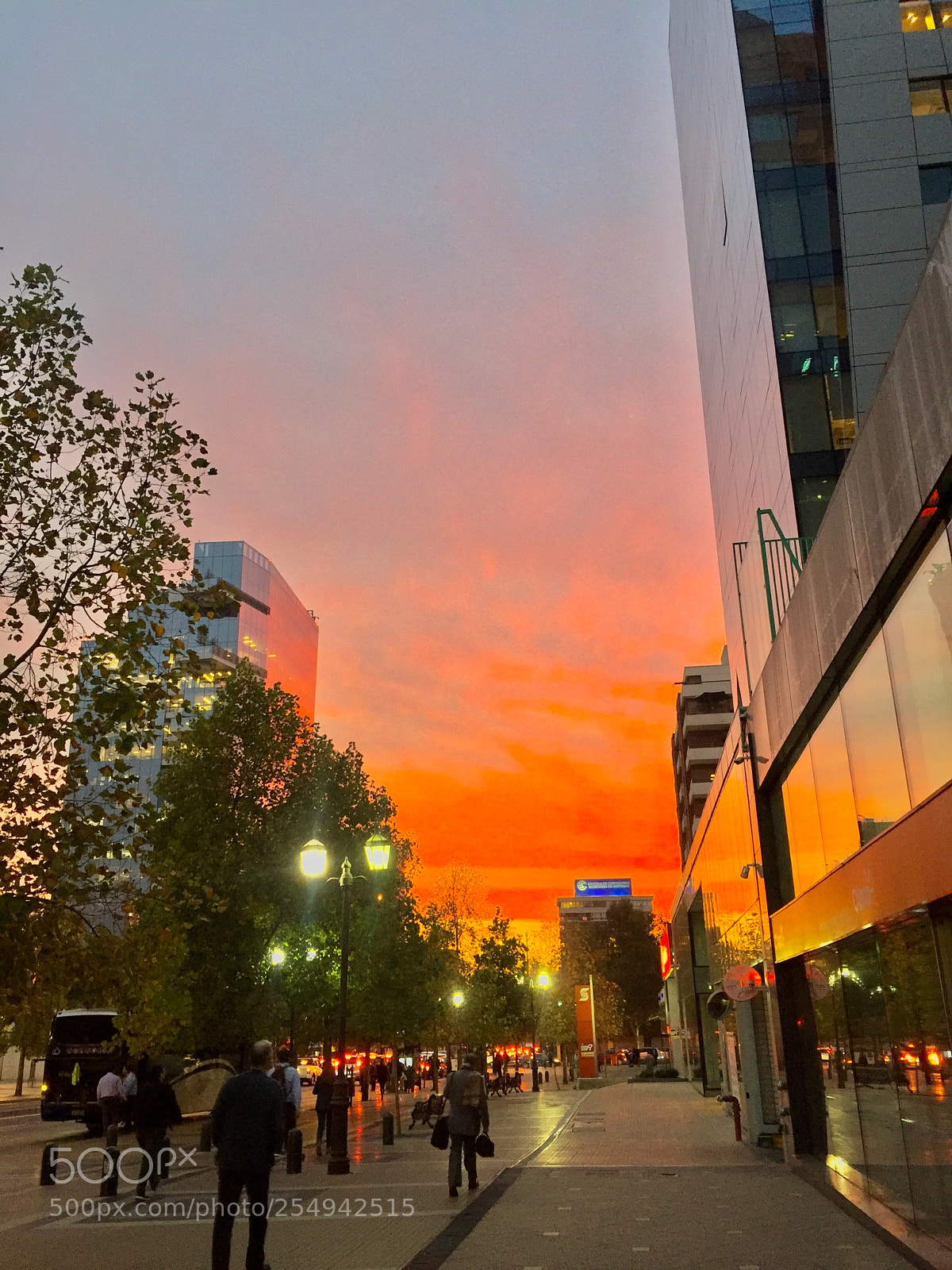 Apple iPhone 6 sample photo. Edited on iphone photography