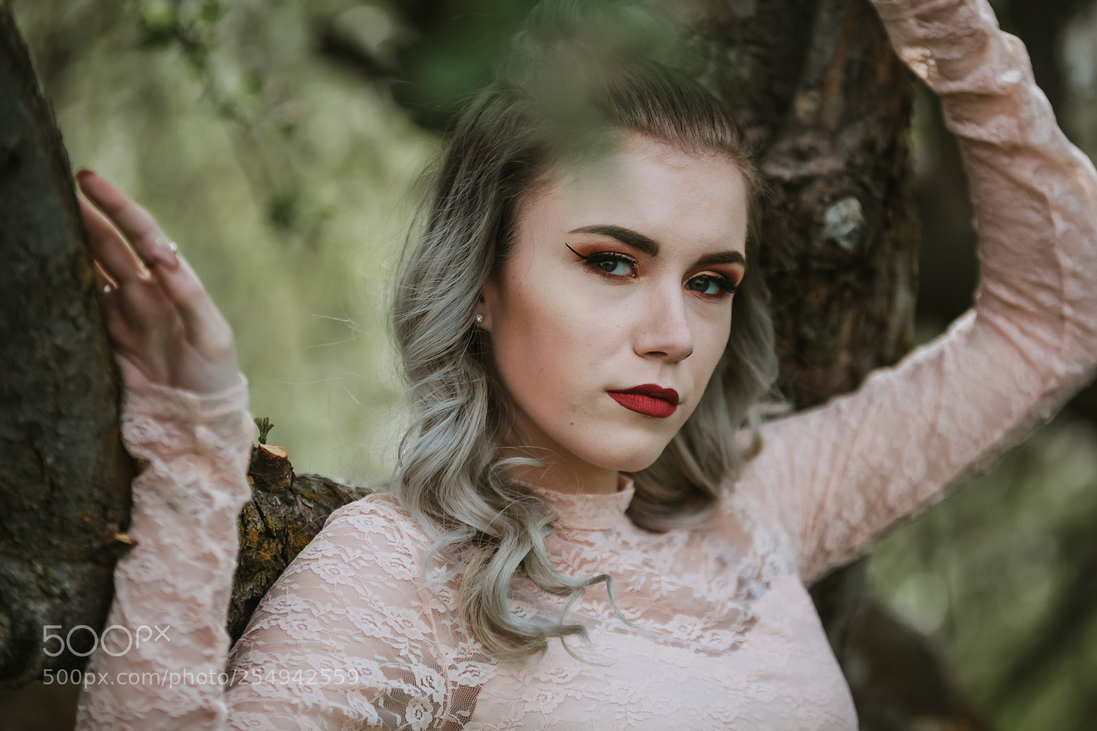 Canon EOS 5D Mark II sample photo. Into the woods photography