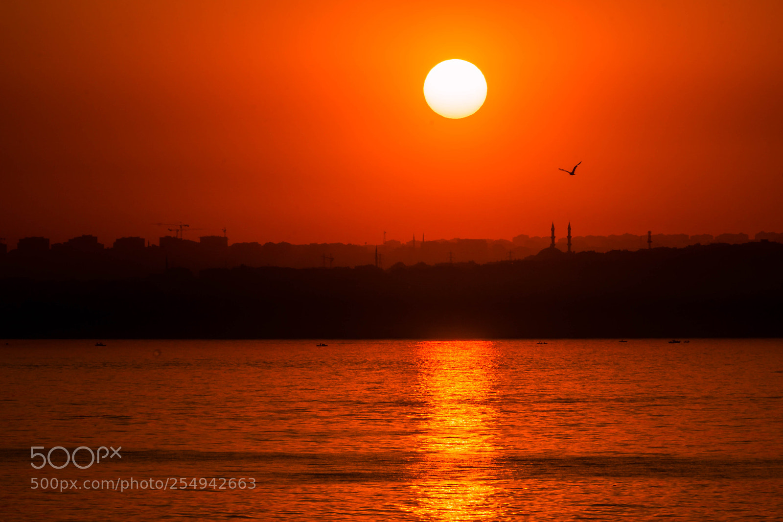 Sony a6000 sample photo. Sunset photography
