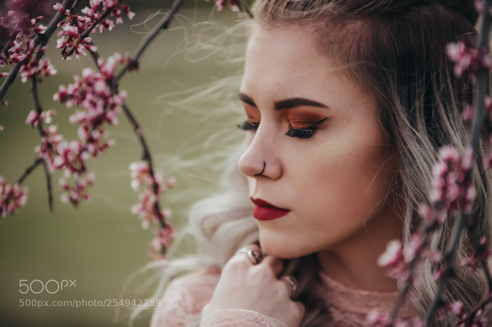 Canon EOS 5D Mark II sample photo. Spring photography