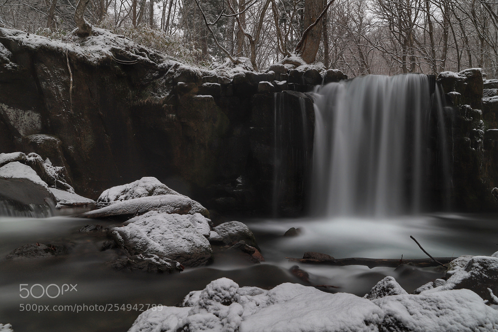 Canon EOS 6D Mark II sample photo. Untitled photography