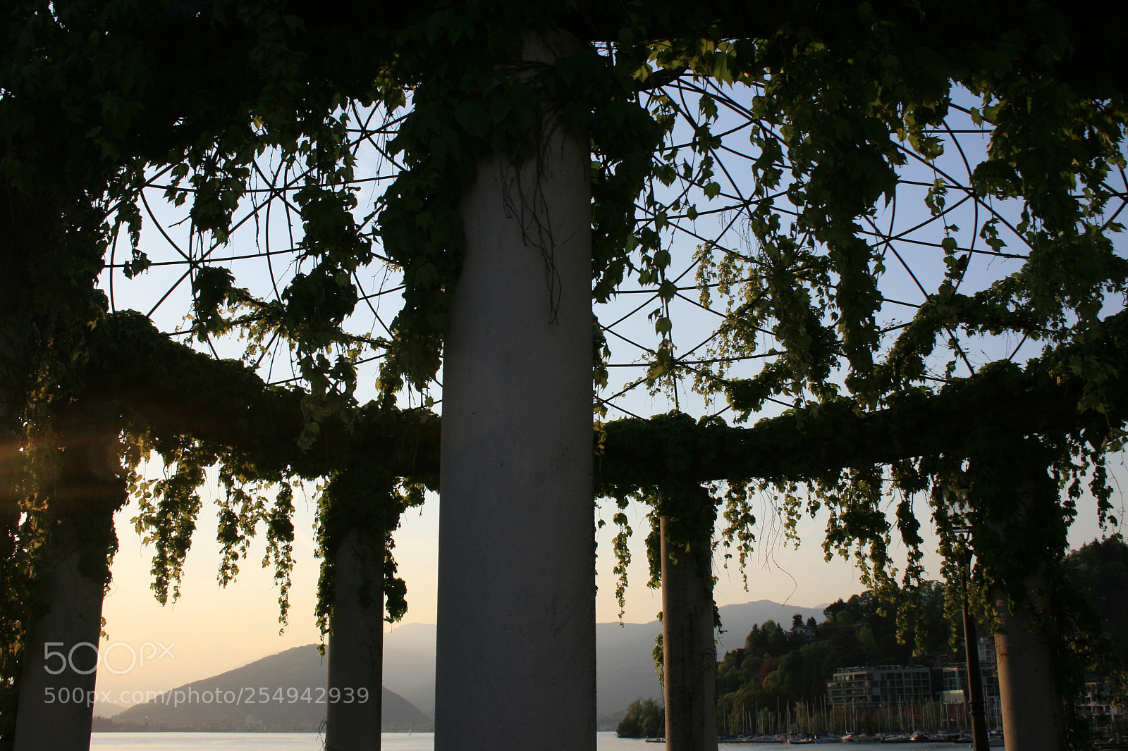 Canon EF-S 18-55mm F3.5-5.6 II sample photo. Img photography