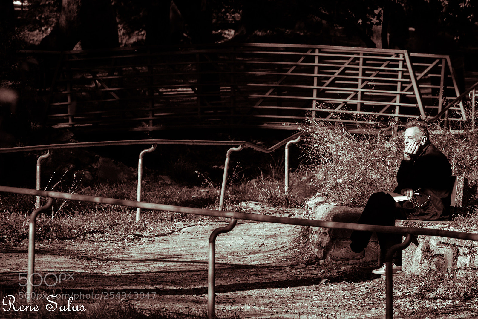 Nikon D810 sample photo. Griffithpark16 photography