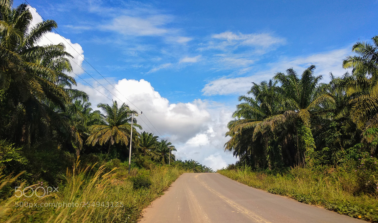 Xiaomi Mi A1 sample photo. Untitled photography