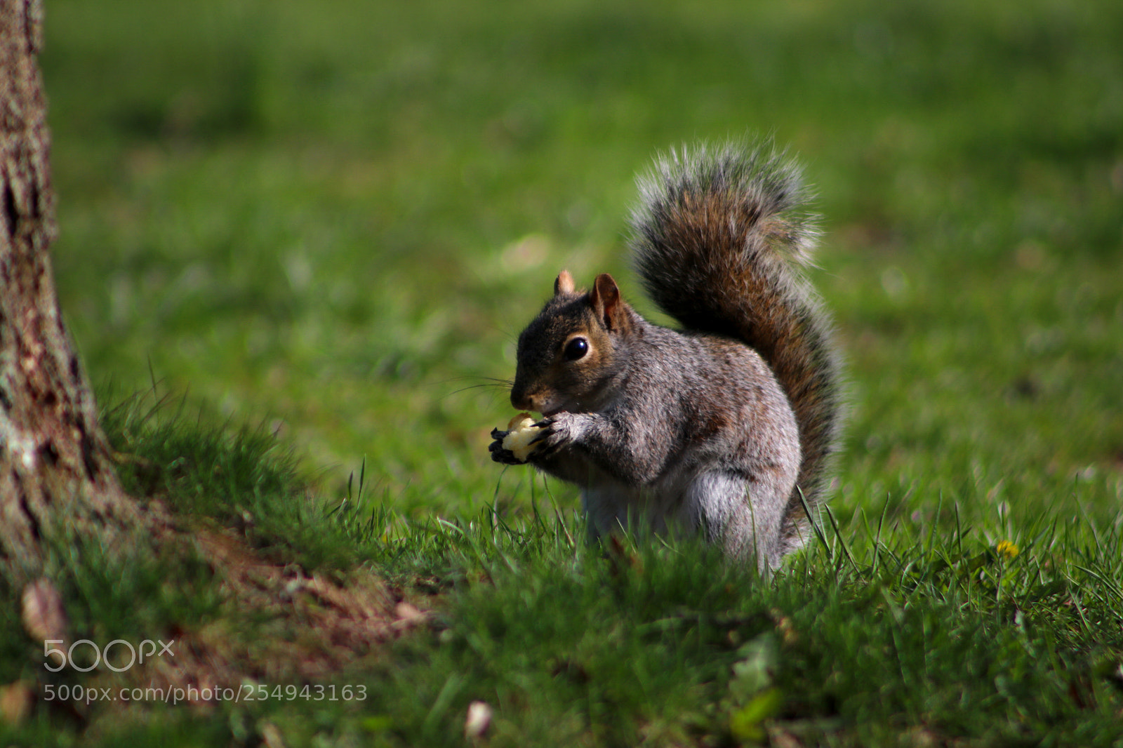 Canon EOS 750D (EOS Rebel T6i / EOS Kiss X8i) sample photo. Snack time! photography