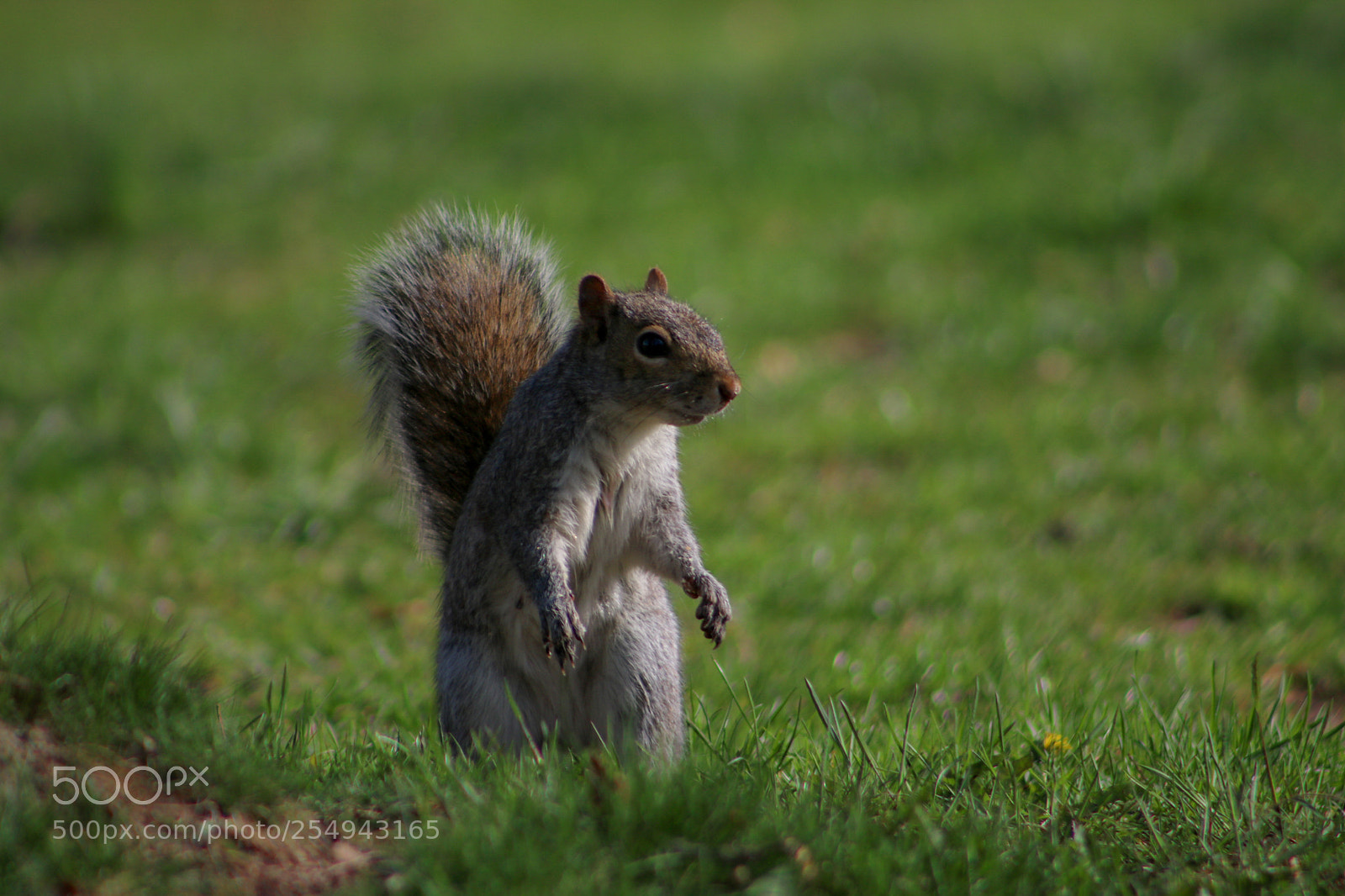 Canon EOS 750D (EOS Rebel T6i / EOS Kiss X8i) sample photo. Looking around photography