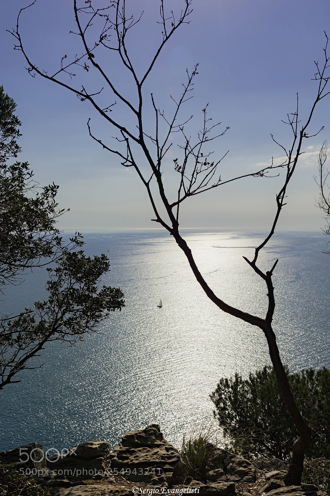 Nikon D7100 sample photo. Isola palmaria photography