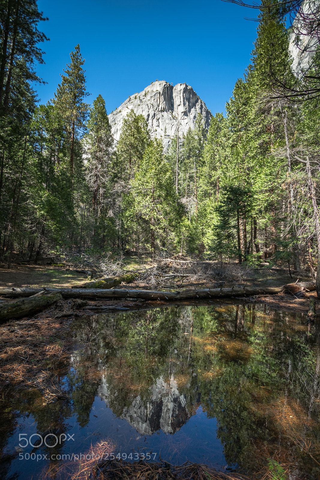 Nikon D5300 sample photo. Yosemite national park photography