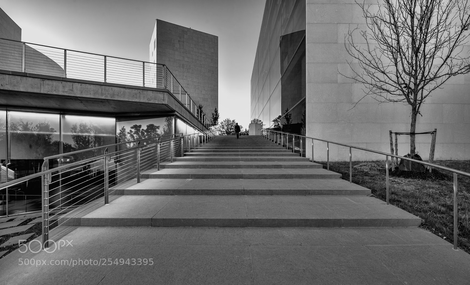 Nikon D800 sample photo. Princeton university art center photography