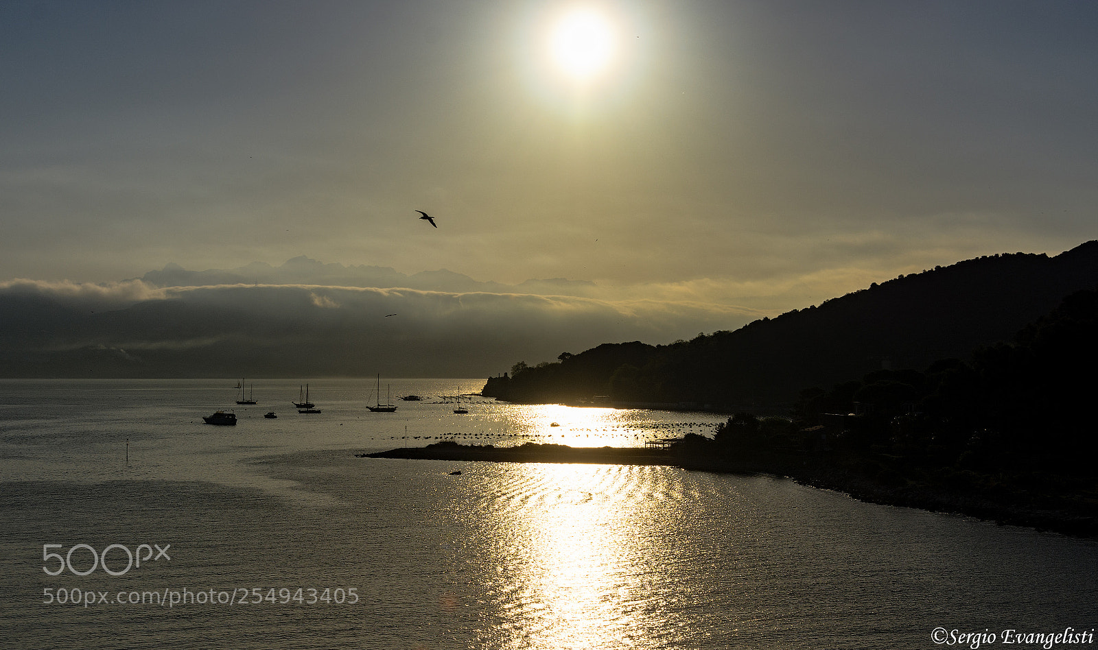 Nikon D7100 sample photo. Risveglio photography