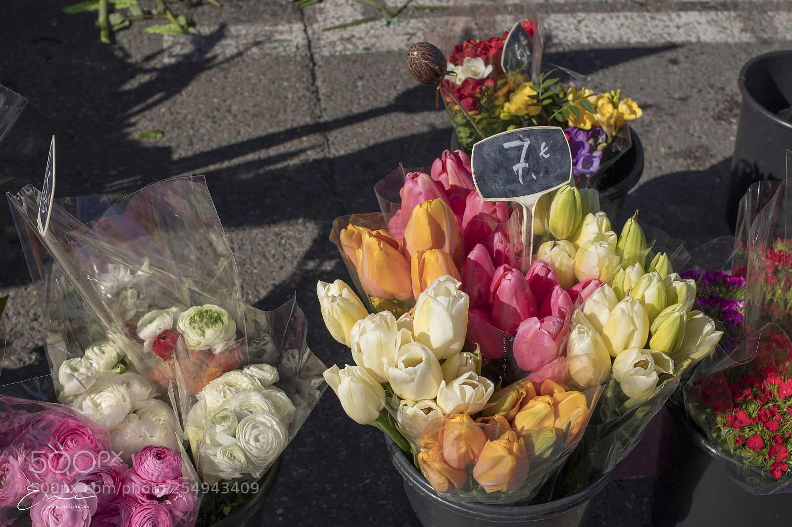 Canon EOS 6D Mark II sample photo. 2018-04-01 photography