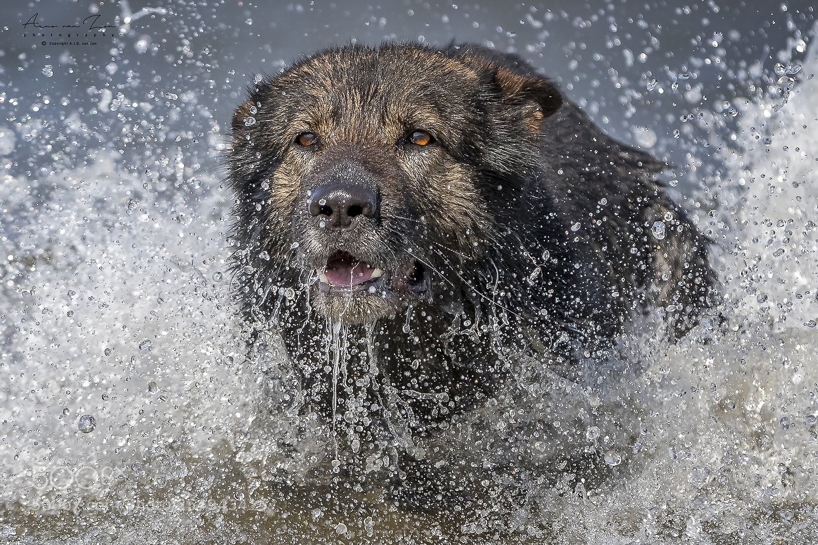 Canon EOS-1D X Mark II sample photo. Water fun... photography
